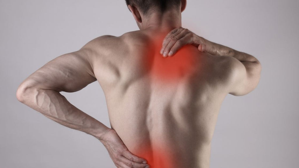 Spine Muscle 3-in-1 Massager